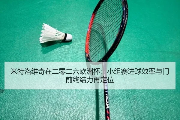 mi-te-luo-wei-qi-zai-er-ling-er-liu-ou-zhou-bei-xiao-zu-sai-jin-qiu-xiao-lv-yu-men-qian-zhong-jie-li-zai-ding-wei-2-546.jpg